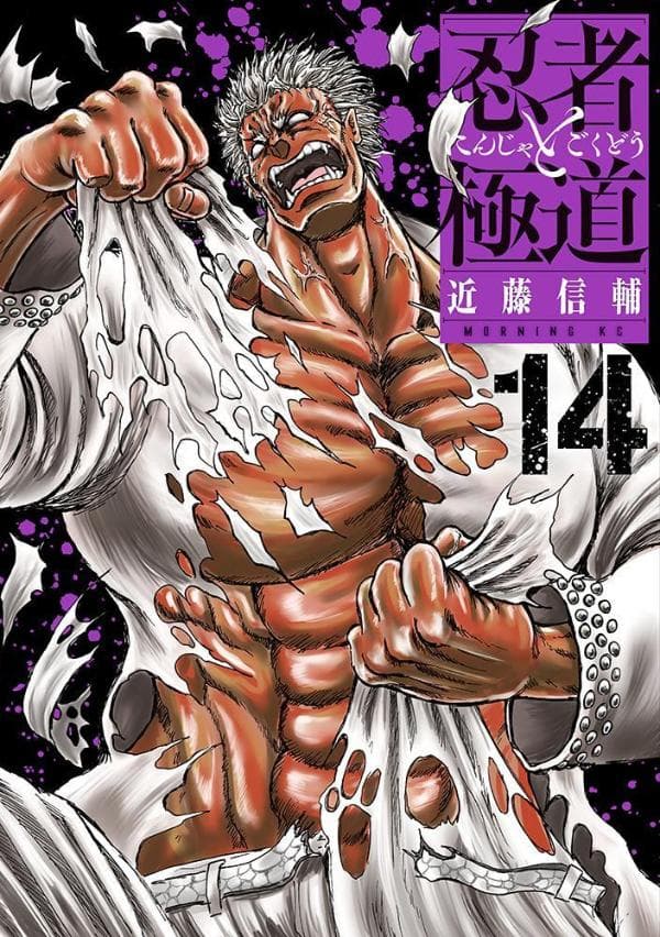 忍者と極道 14 表紙