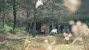 Activity thumbnail